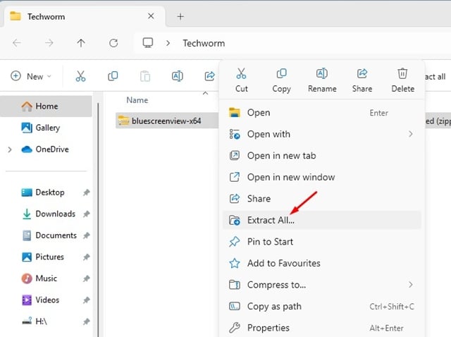 BlueScreenView ZIP file