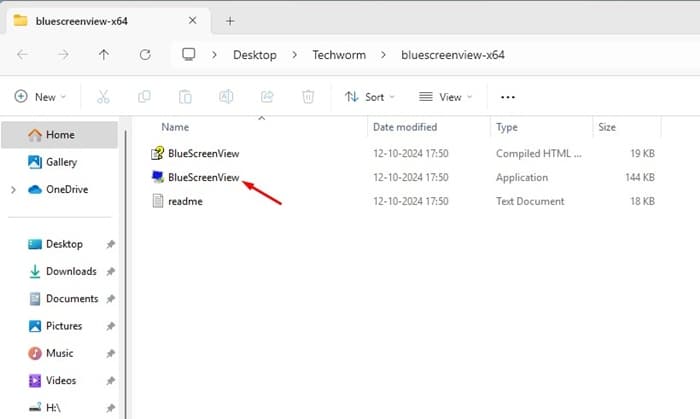 BlueScreenView application