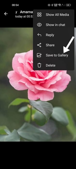 Save to Gallery