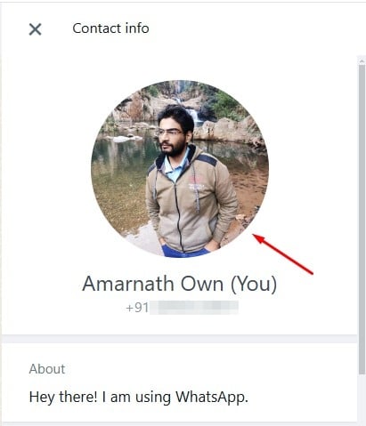 Profile Picture