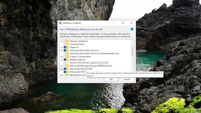 Windows 11 Print to PDF