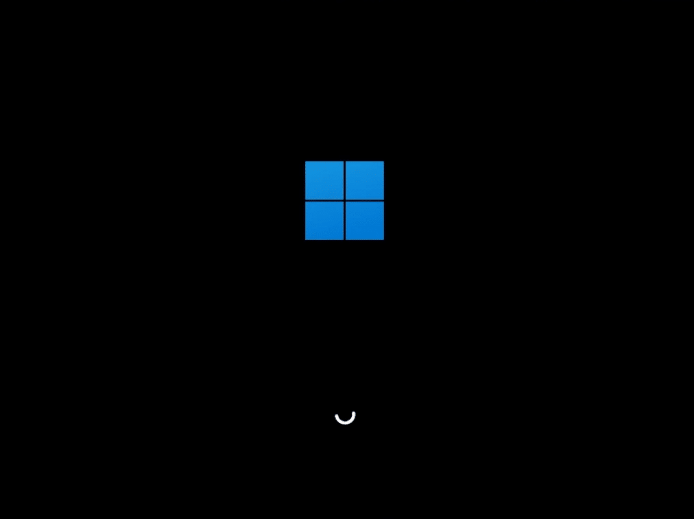 Install Nano11 on PC